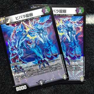 ビバラ龍樹 ２枚セット