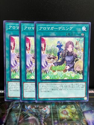 遊戯王スタジオ 4531 アロマガーデニング ノーマル JP059