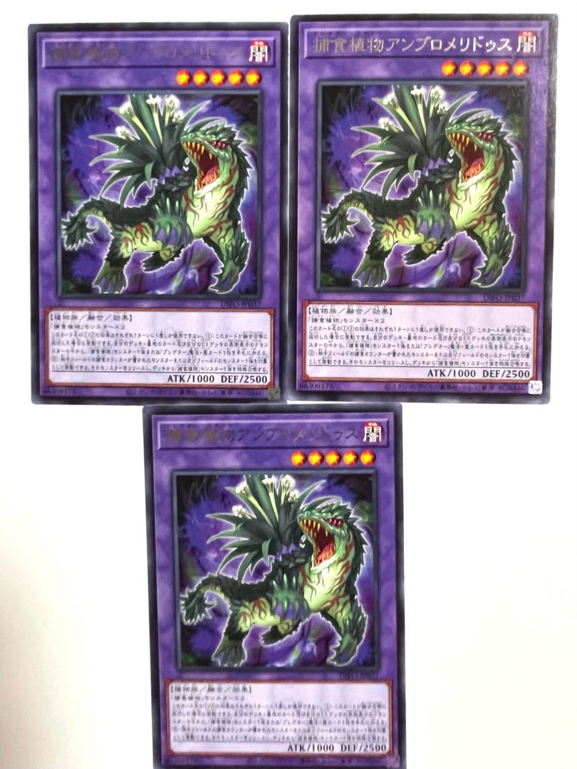 捕食植物アンブロメリドゥス【レア 】JP037