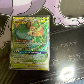 フシギバナ&ツタージャ