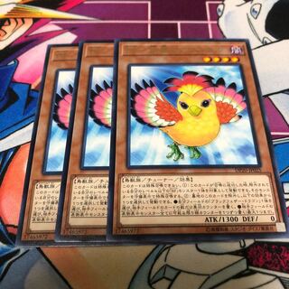 BF-南風のアウステル