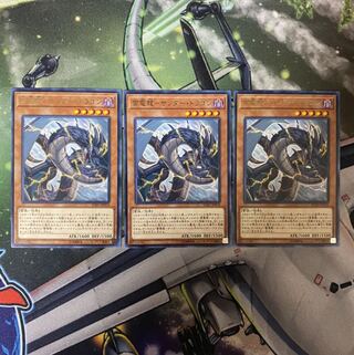 雷電龍サンダードラゴン