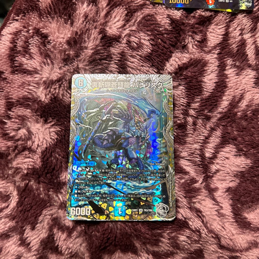 Urazan Hidden Sotouryu Baji Squirrel Ku SR S9/S20