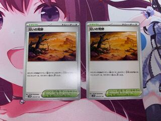 Wasteland of Disaster U 070/071 2 copies