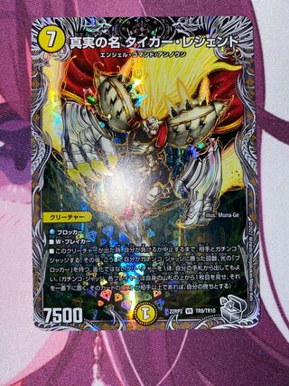 The True Name Tiger Legend (Silver Treasure) VR TR9/TR10