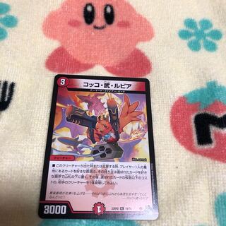 Cocco Bu Lupia R 19/74