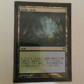 霧深い雨林 日本語