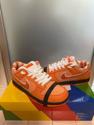 コンセプツ × ナイキ SB ダンク ロー SP "オレンジロブスター" オレンジロブスター/ブラック 25.5cm