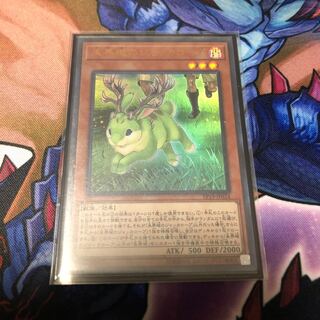 未界域のジャッカロープ