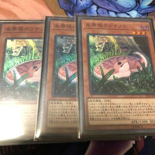 未界域のツチノコ 3枚