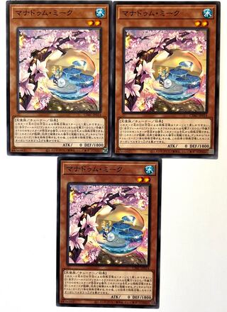 Manadum Meek [Normal] JP014