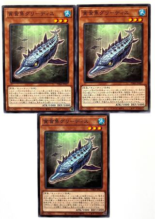 貪食魚グリーディス 【ノーマル】 JP027