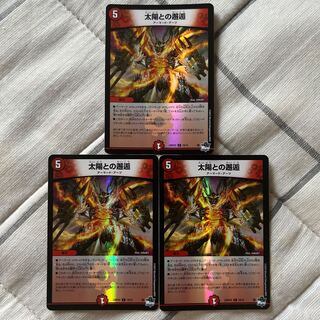 Encounter with the Sun