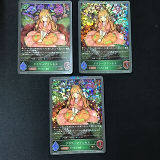 フラワープリンセス　PR   3枚