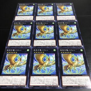 0263  告天子竜パイレン　9枚セット　即購入OK