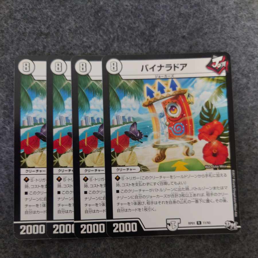 バイナラドア R 11/93