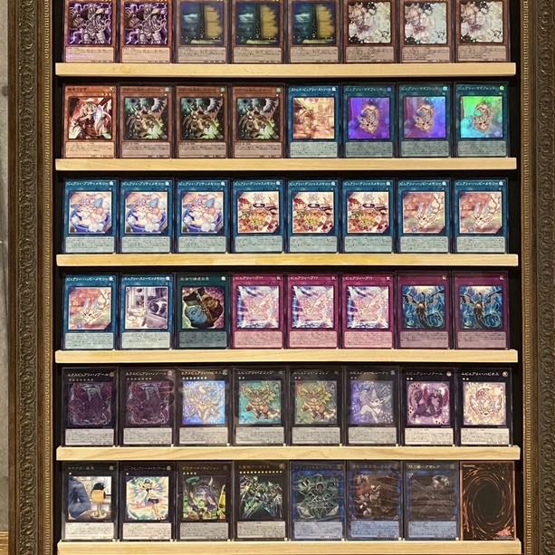 即日発送！大会用【ピュアリィ】デッキ　遊戯王