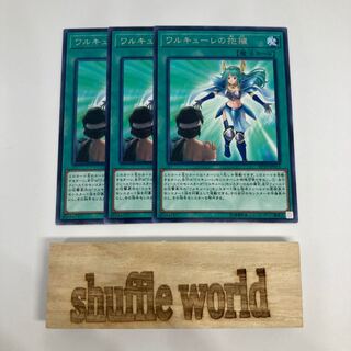 Valkyrie's Embrace 985