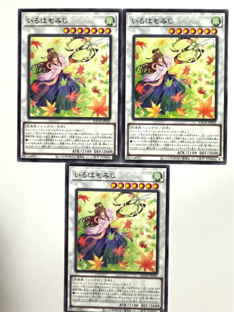 いろはもみじ 【ノーマル 】JP042