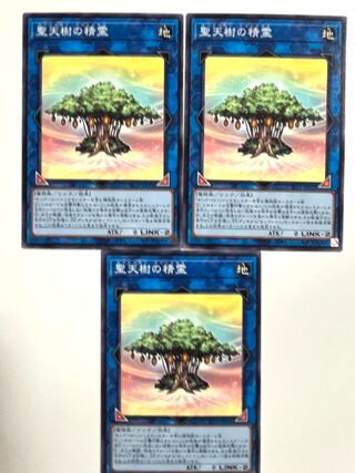 【PSA8.5】聖天樹の精霊 【ノーマル 】JP032