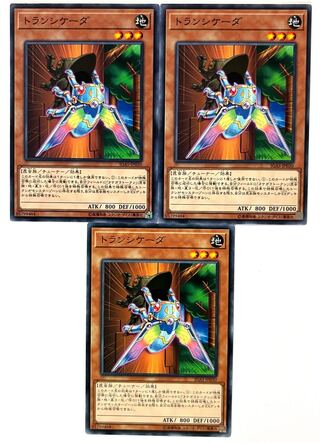 トランシケーダ 【ノーマル 】JP030