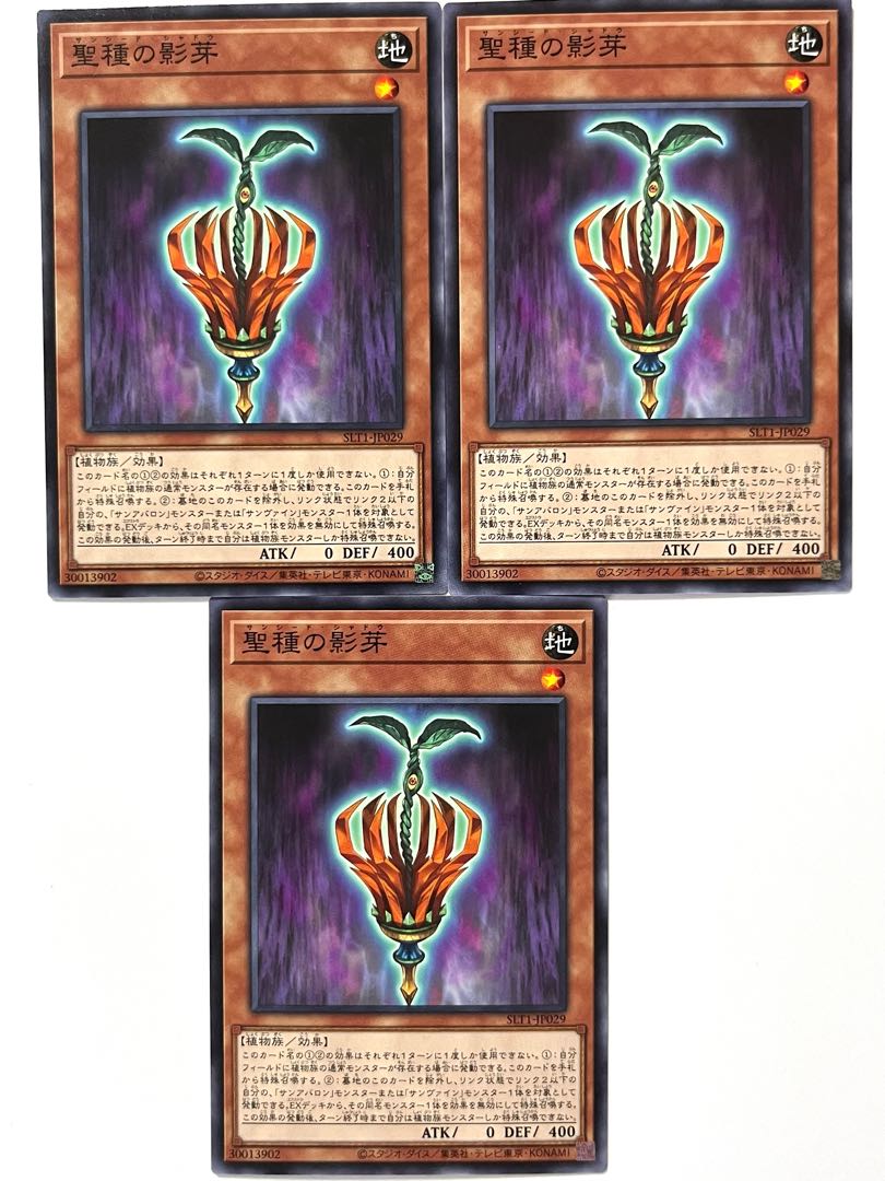 聖種の影芽 【ノーマル 】 JP029