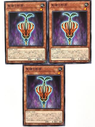 聖種の影芽 【ノーマル 】 JP029