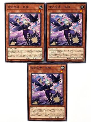 宙の忍者-鳥帷 【ノーマル】JP015