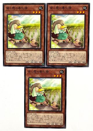 Seedlings and Kasumi no Shunka Sei [Normal] JP026