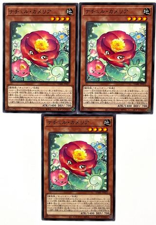 Nature Camellia [Normal] JP021