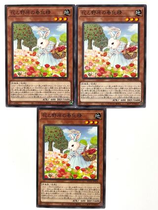 花と野原の春化精 【ノーマル 】 JP018