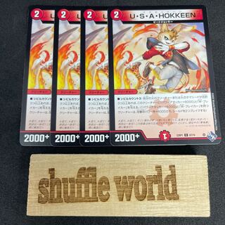 U.S.A. HOKKEEN C 510