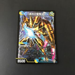 「雷光の聖騎士」