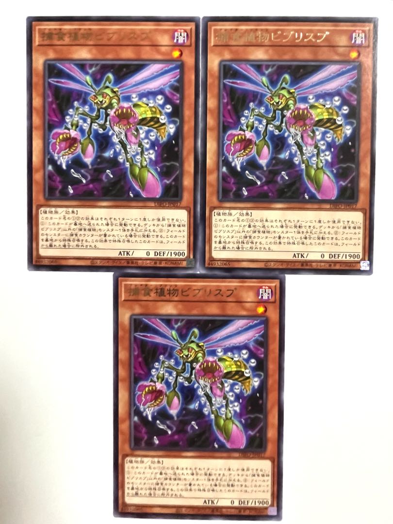 捕食植物ビブリスプ【レア】JP017