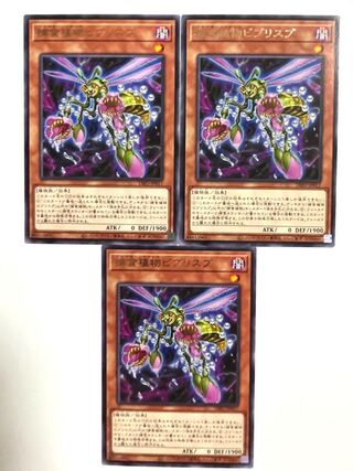 捕食植物ビブリスプ【レア】JP017