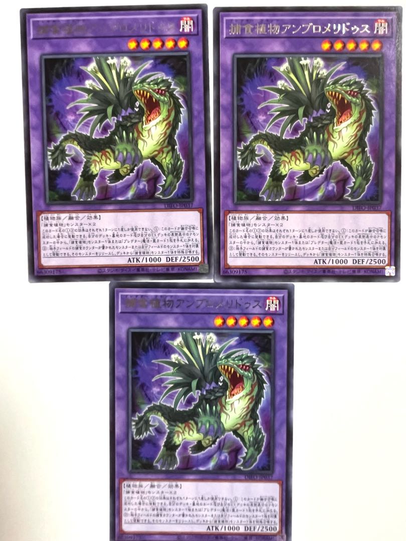 捕食植物アンブロメリドゥス【レア】JP037