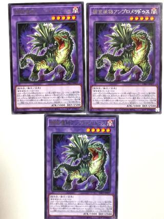 捕食植物アンブロメリドゥス【レア】JP037