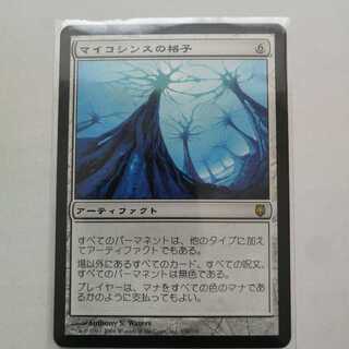 マイコシンスの格子