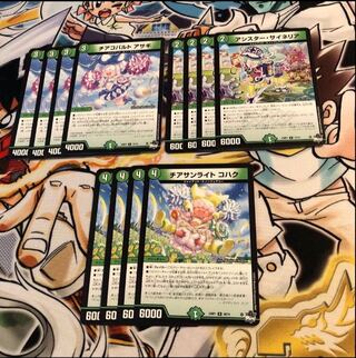 チアコバルト アサギ チアサンライト コハク アシスター・サイネリア