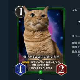 飛び出すあぽろの猫 こむぎ