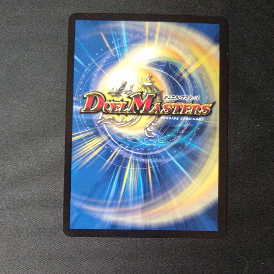 闘争類拳嘩目 ステゴロ・カイザー|お清めシャラップ