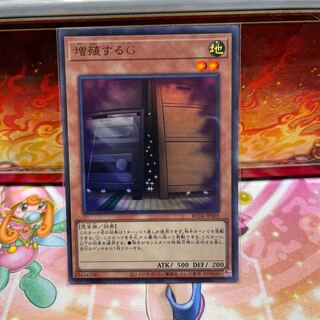 No.1711 P屋　増殖するG【ウルトラ】