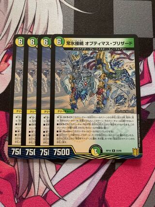 常氷接続 オプティマス・ブリザード R 23/95 1枚