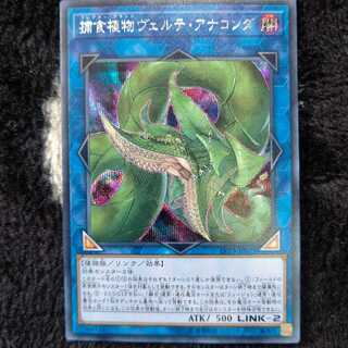 捕食植物ヴェルテ・アナコンダ シークレット