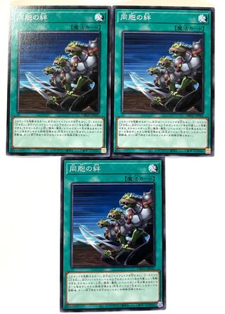 同胞の絆  【ノーマル 】 JP041