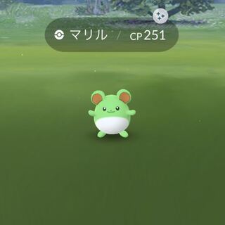 ねぎ塩様　専用