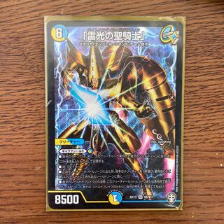 雷光の聖騎士 ライトニングソードパラディン