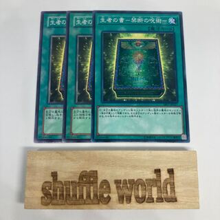 生者の書-禁断の呪術- 1022