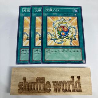 Emblem of the Awakening 1038