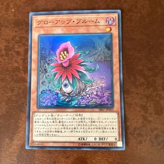 Glow-Up Bloom Super Rare JP003